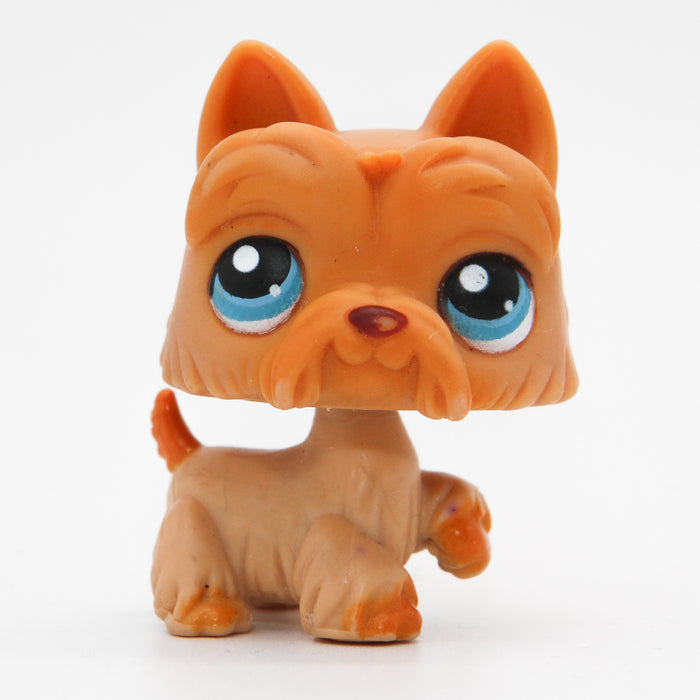 Littlest Petshop Ylämaanterrieri #249