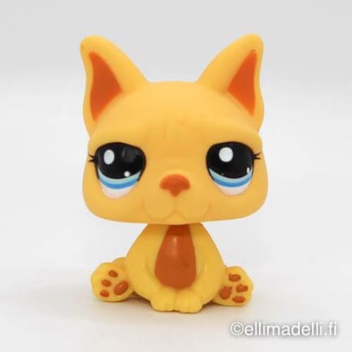 Littlest Petshop Ranskan Bulldog koira #2602 - Littlest