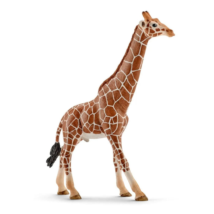Schleich 14749 Kirahvi, uros