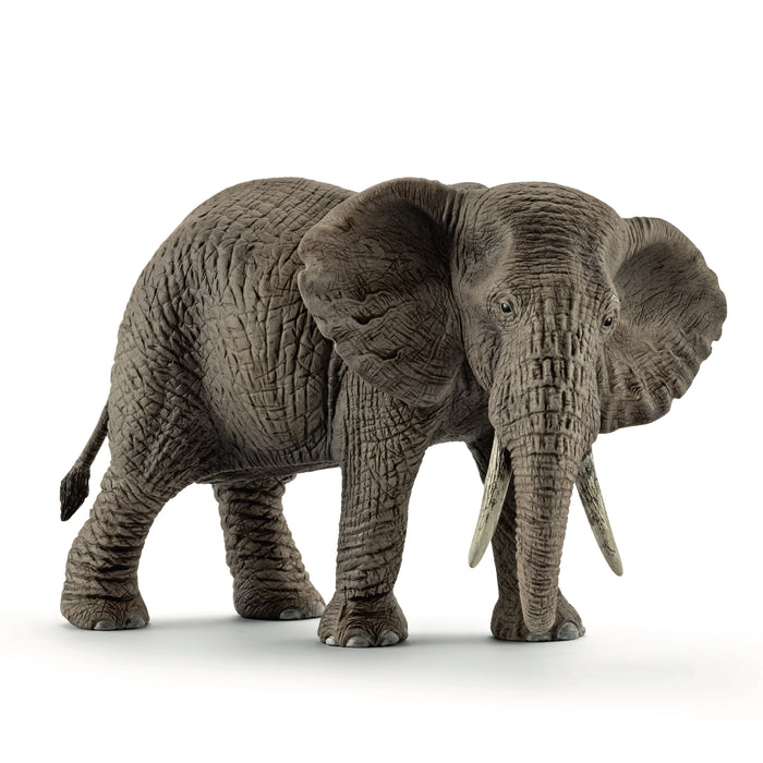 Schleich 14761 Afrikan norsu, naaras