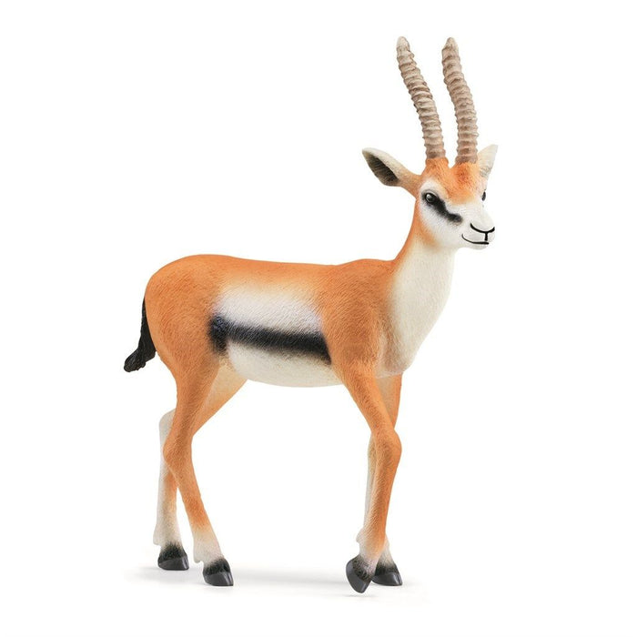 Schleich 14861 Thomsonin Gaselli