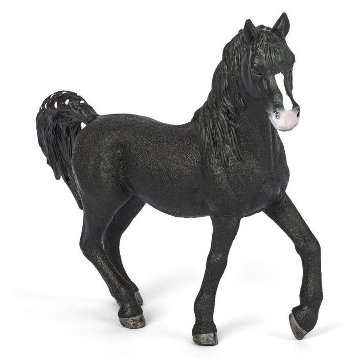 Schleich 72134 Arabialainen hevonen - Special edition! - Second Hand