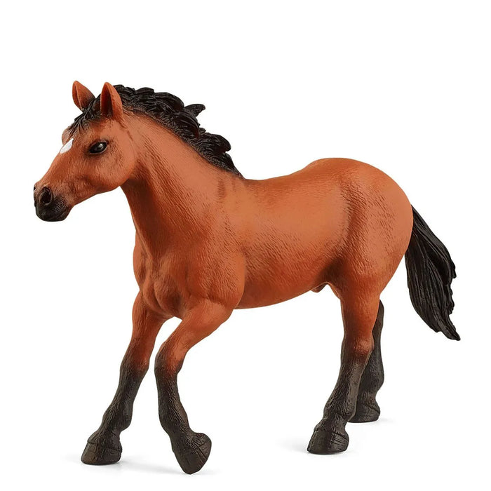 Schleich 72152 Appaloosa hevonen Special edition! - Second Hand