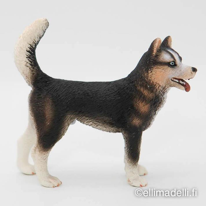 Schleich Husky koira - Schleich second hand