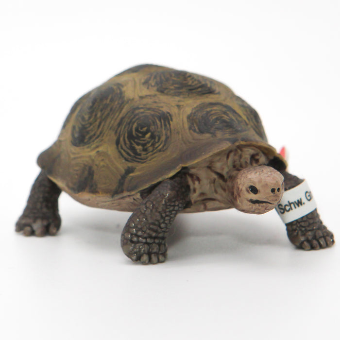 Schleich Jättiläiskilpikonna 14601 - Second Hand