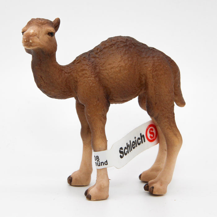 Schleich Kameli poikanen 14356 - Second Hand