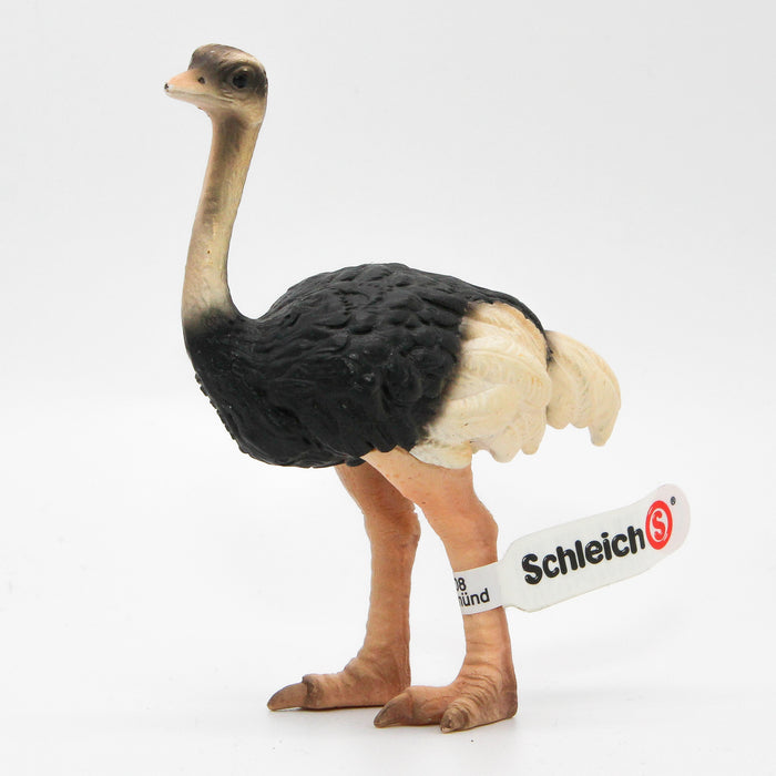 Schleich Strutsi naaras 14325 - Second Hand