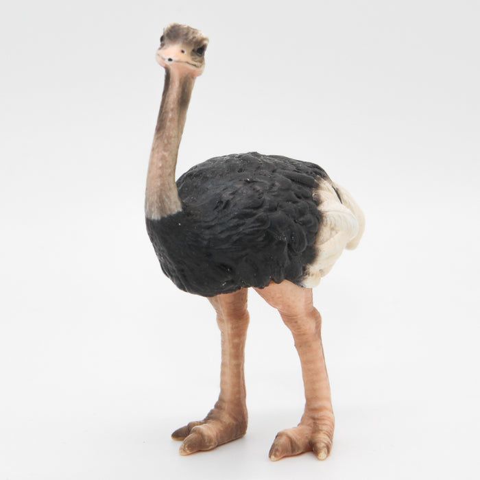 Schleich Strutsi naaras 14325 - Second Hand