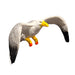 Schleich Harmaalokki 14720 - Second Hand