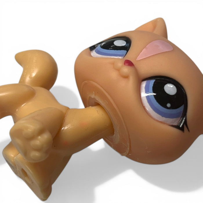 Littlest Pet Shop Kissa #1537 - Second Hand