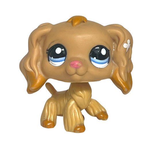 Littlest Petshop Cockerspanieli koira #1716 - Second Hand
