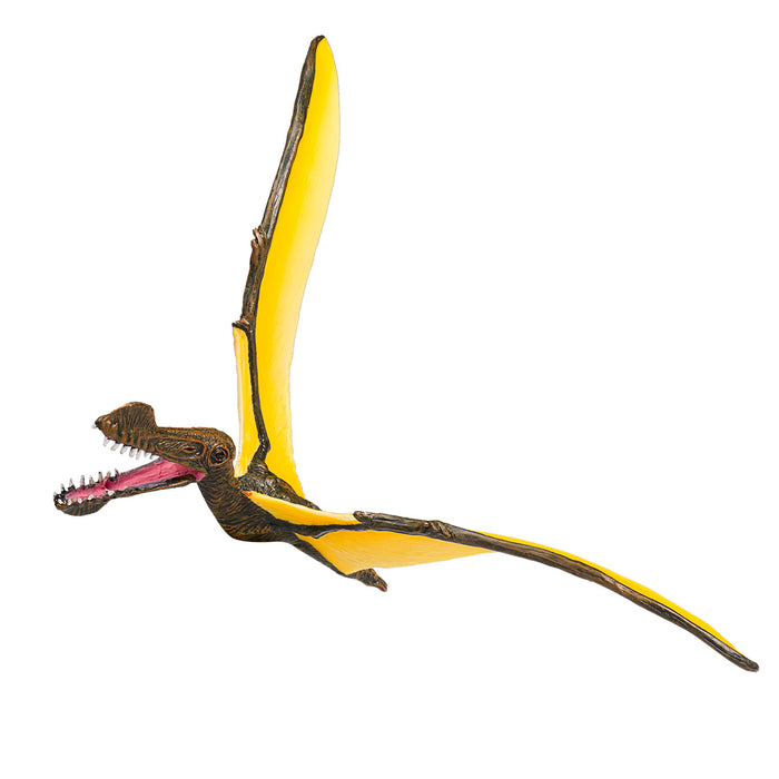 Mojo Tropeognathus lentolisko
