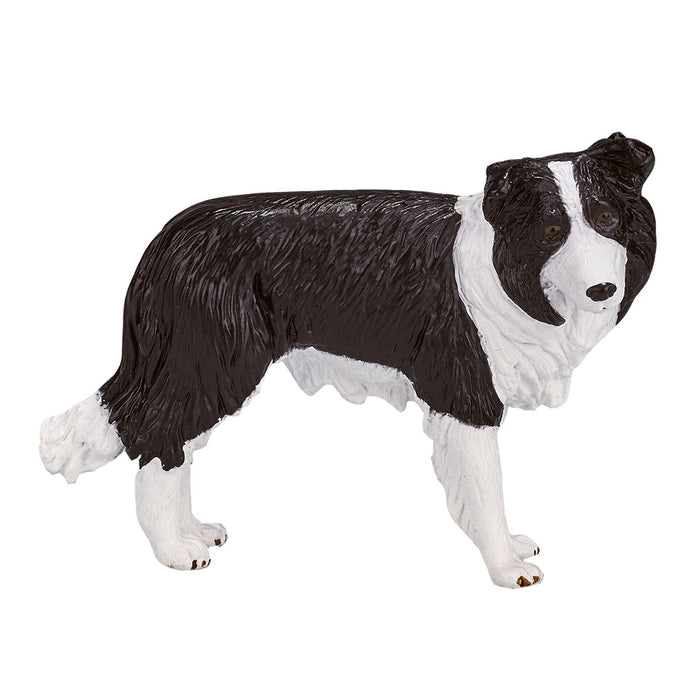 Mojo Border Collie