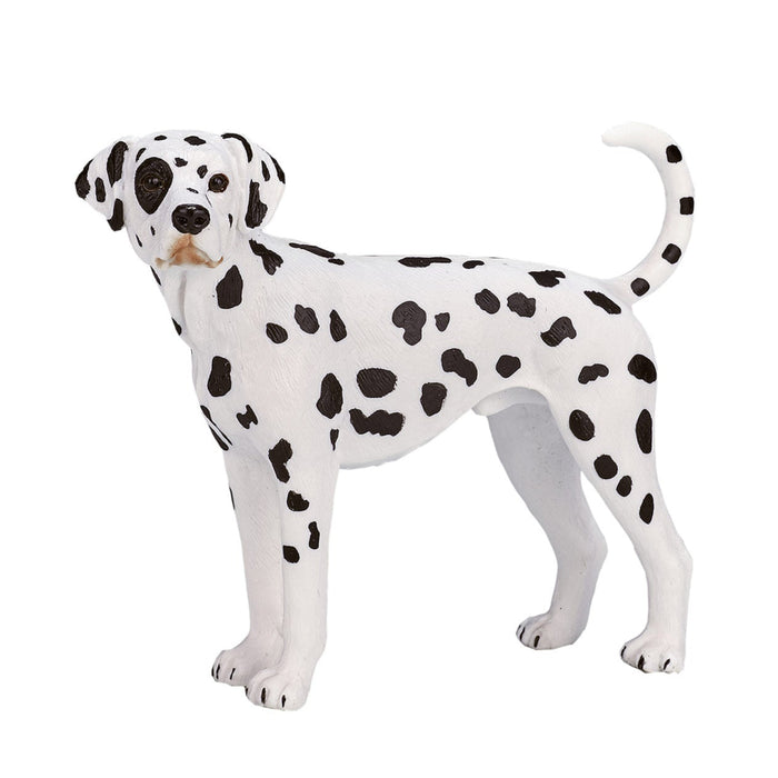Mojo Dalmatian koira