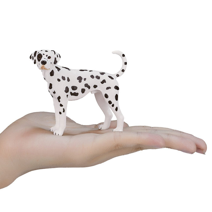 Mojo Dalmatian koira