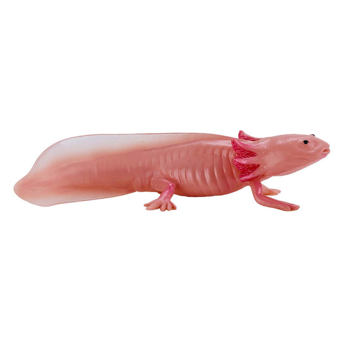 Mojo Axolotl