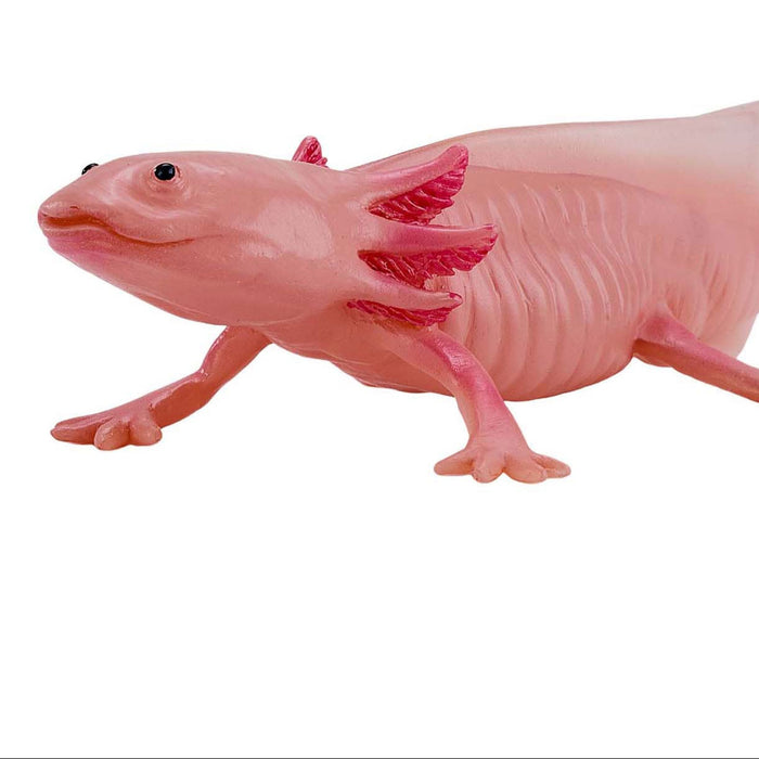 Mojo Axolotl