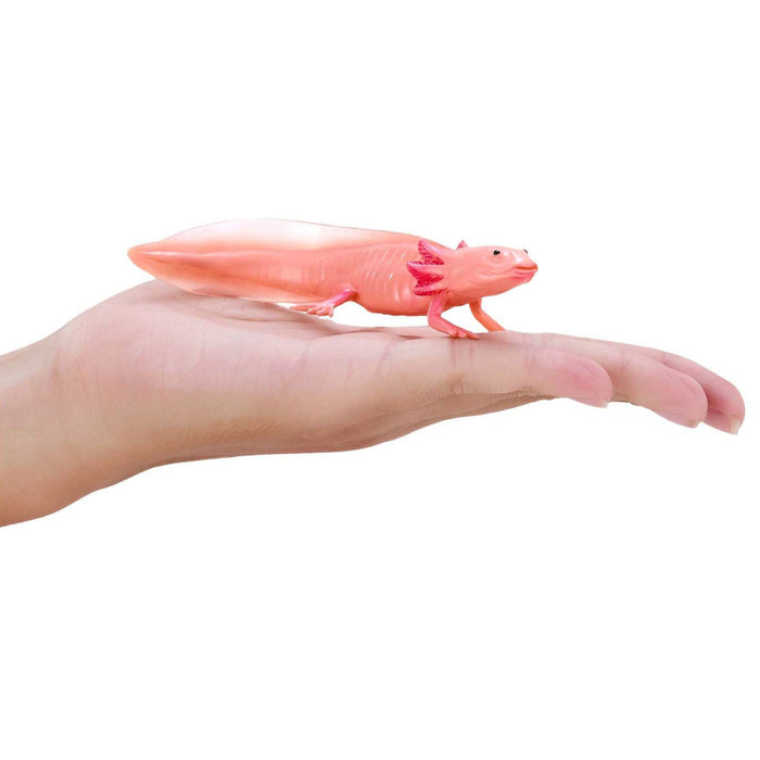 Mojo Axolotl