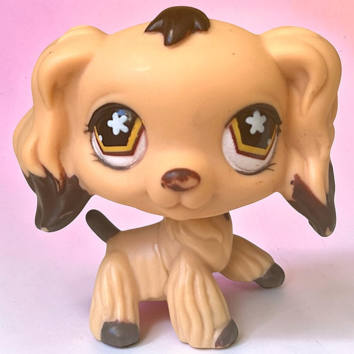 Littlest Pet Shop Cockerspanieli koira #575 - Second Hand