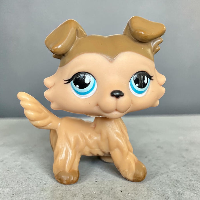 Littlest Petshop Collie koira #893 - Second Hand