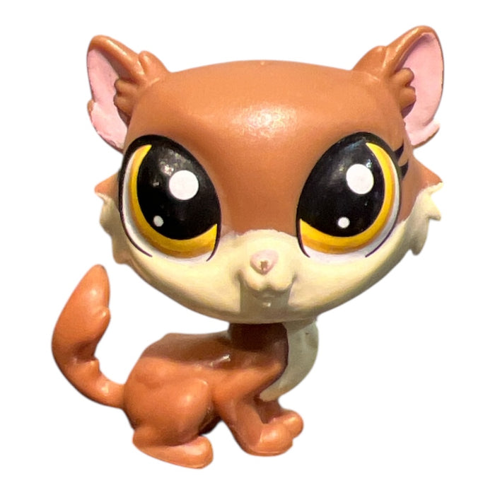 Littlest Petshop Kissa #64