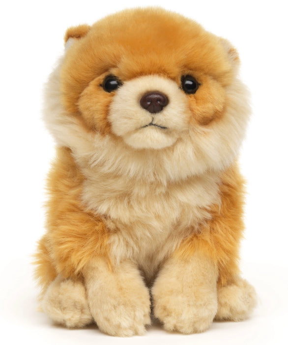 Pomerian koira pehmolelu 17cm