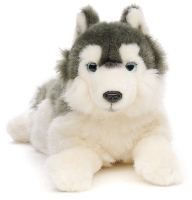 Husky koira pehmolelu 38cm