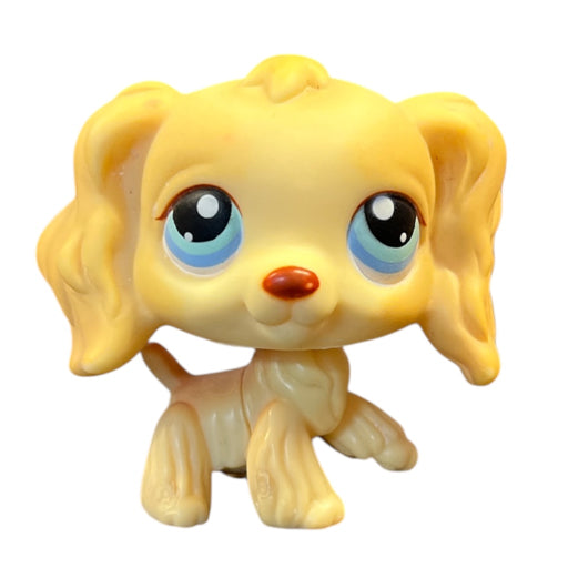 Littlest Petshop Cockerspanieli #91 (katso lisäkuva)