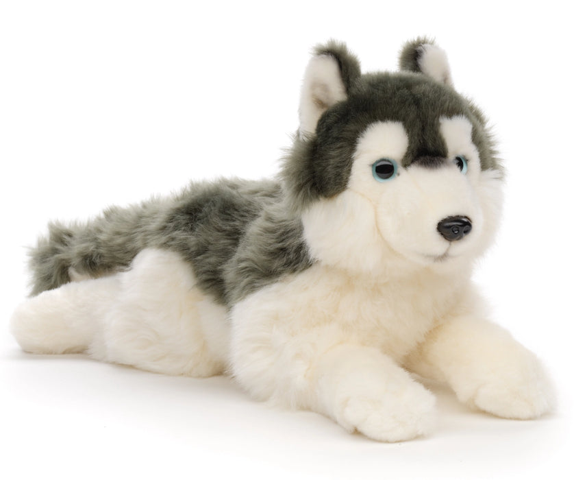 Husky koira pehmolelu 38cm