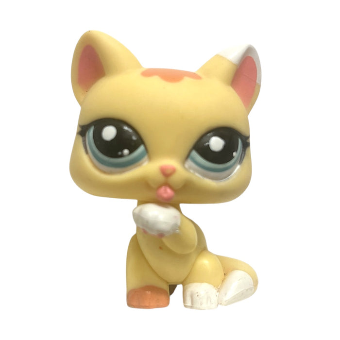 Littlest Pet Shop Kissa #1821 - Second Hand