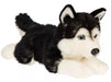 Husky koira pehmolelu 36cm