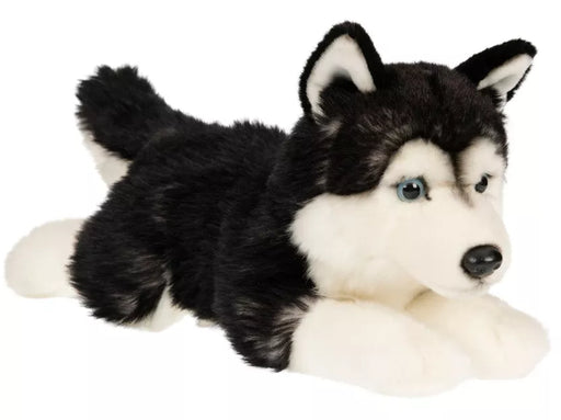 Husky koira pehmolelu 36cm
