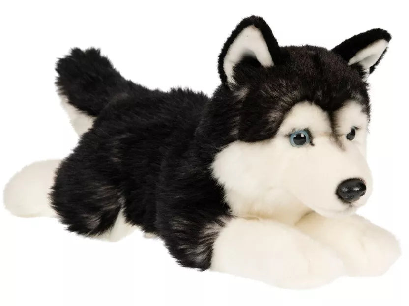 Husky koira pehmolelu 36cm