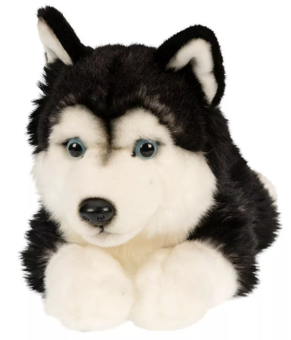 Husky koira pehmolelu 36cm