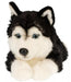 Husky koira pehmolelu 36cm
