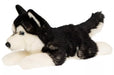 Husky koira pehmolelu 36cm