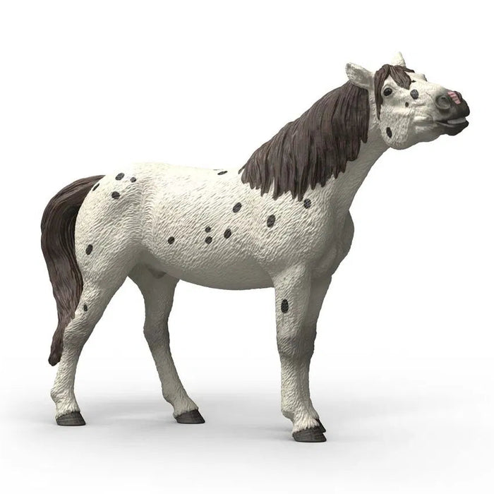 Schleich 14916 Knabstrup hevonen, ruuna - Ennakkotilaus