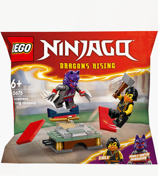 Lego 30675 Ninjago Dragon's Rising
