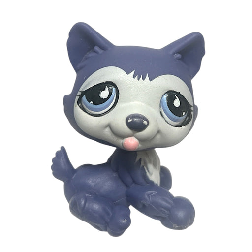 Littlest Pet Shop Husky koira #785 - Second Hand