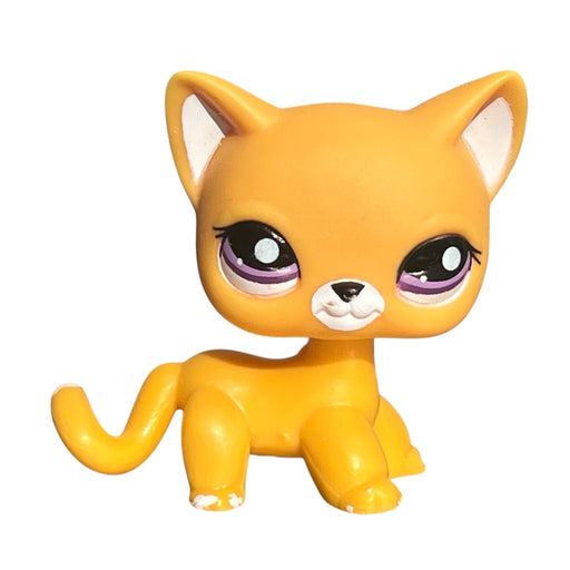 Littlest Pet Shop seisova Kissa #2433 - Second Hand