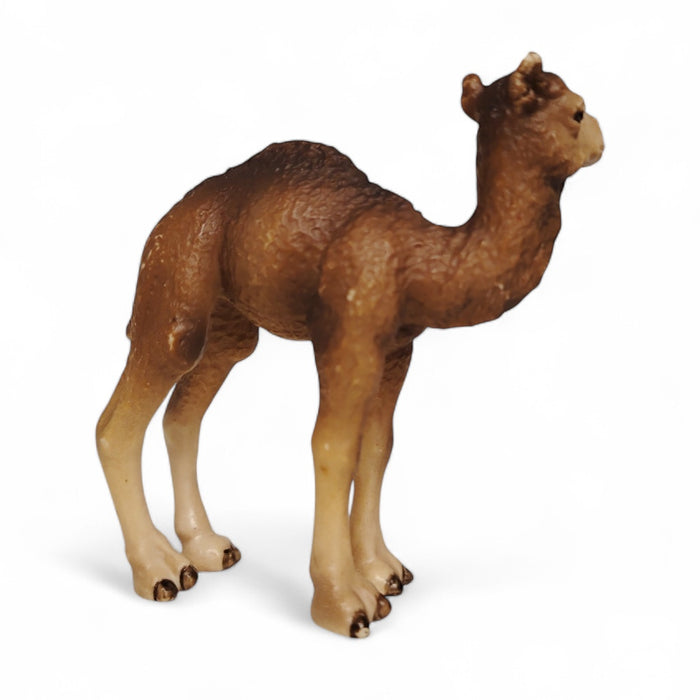 Schleich Kameli poikanen 14356  - Second Hand