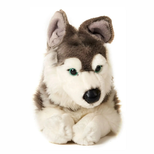 Husky koira pehmolelu 40cm