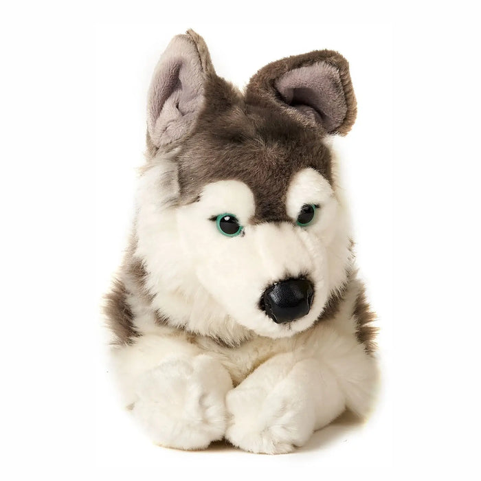 Husky koira pehmolelu 40cm