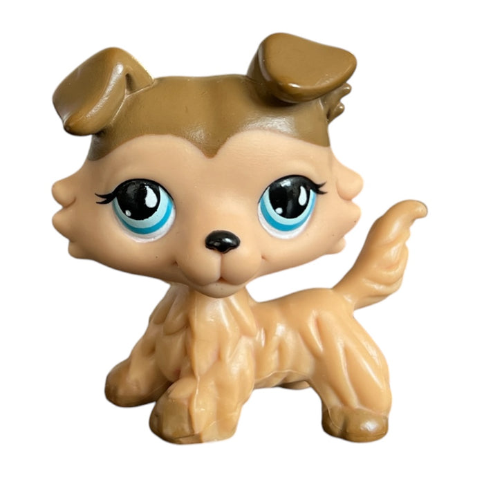 Littlest Petshop Collie koira #893 - Second Hand