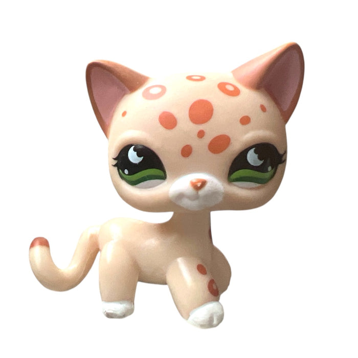 Littlest Petshop seisova Kissa #852