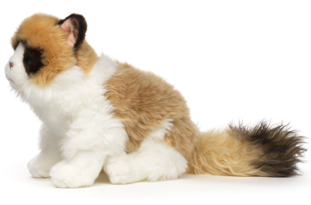 Ragdoll kissa pehmolelu 25cm