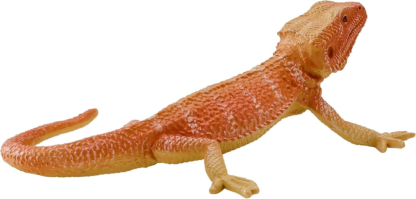 Mojo Parta-agama