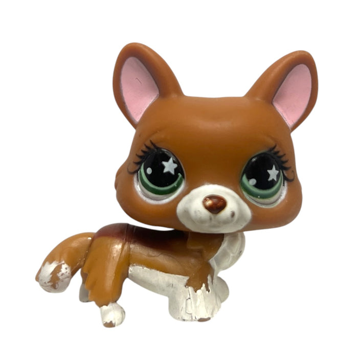 Littlest Petshop Corgi koira #897 - Second Hand