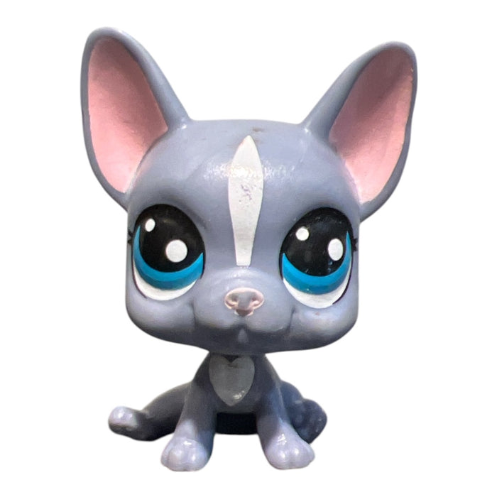 Littlest Petshop Ranskan bulldog #62