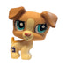 Littlest Petshop Jack Russell #1302